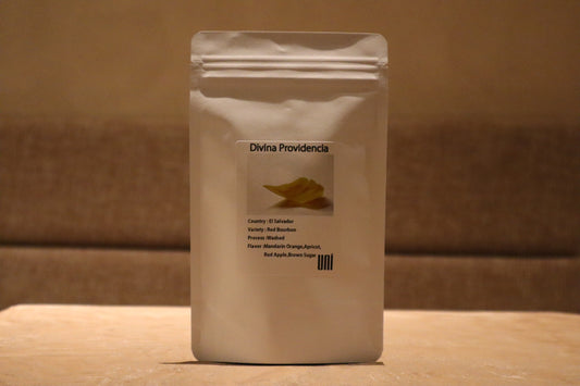 El Salvador Divina Providencia　100g